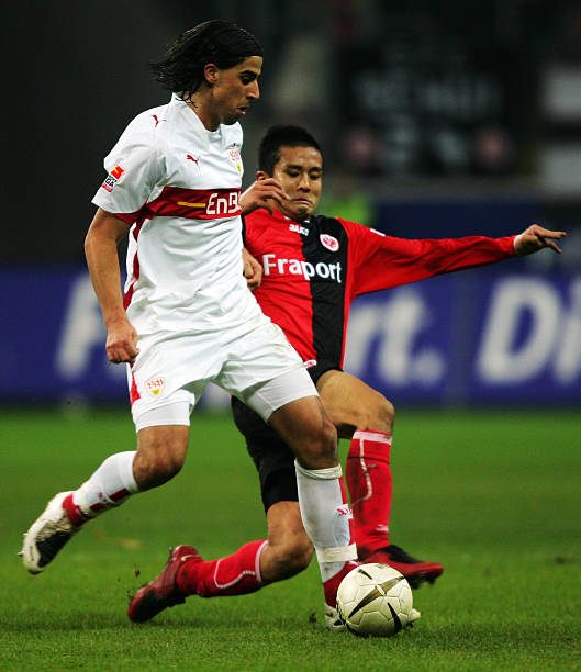 不仅可以提 不仅可以提